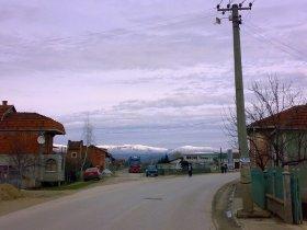 leskovac, anciki