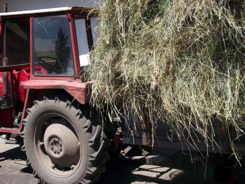 traktor, seno, ilsutracija - foto Aleksandar Kostic JUZNE VESTI