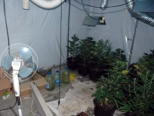 Laboratorija-marihuana.jpg