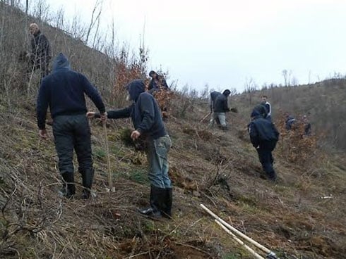 Zatvorenici u akciji pošumljavanja