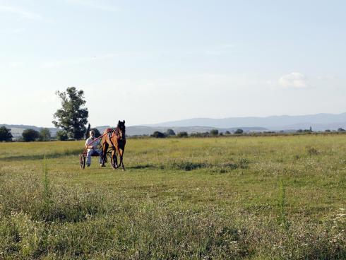 konjicki klub leskovac