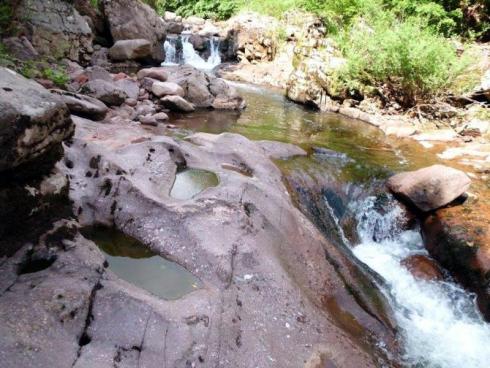 Ugrožene planinske reke