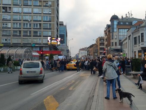 Protest Niš ljubitelji životinja