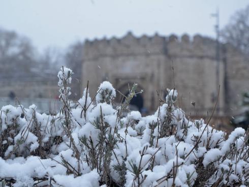 Nis, 27 januar 2023, sneg, foto Jelena Misic 8