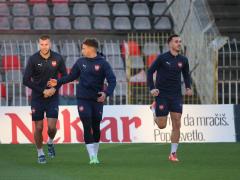 fudbal, reprezentacija, stadion cair, nis, foto aleksandar kostic 12