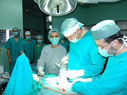 hernija
