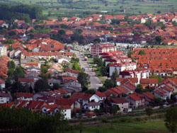 pirot