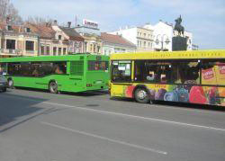 t busovi
