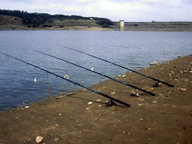 brestovacko