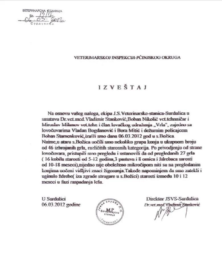izvestaj konji