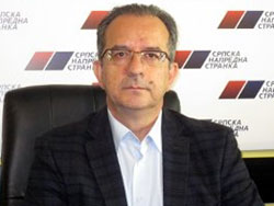 zoran perisic sns nis