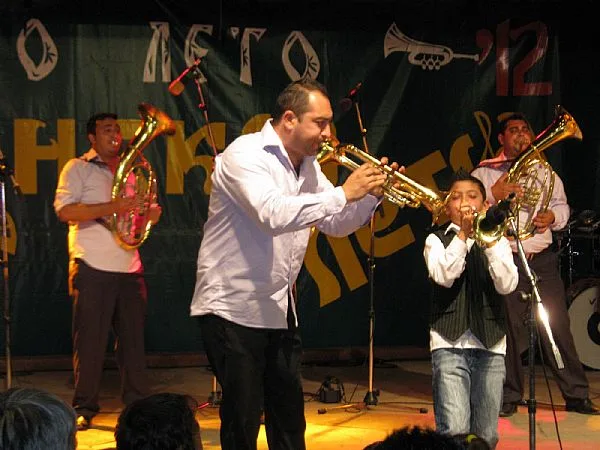 Ajdinovici