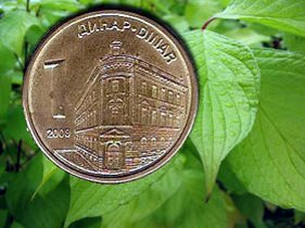 eko dinar