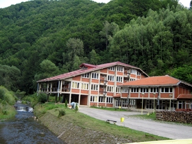 crna trava tehnicka mala 1
