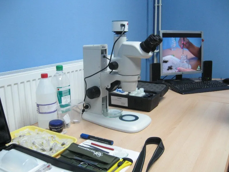 lab3