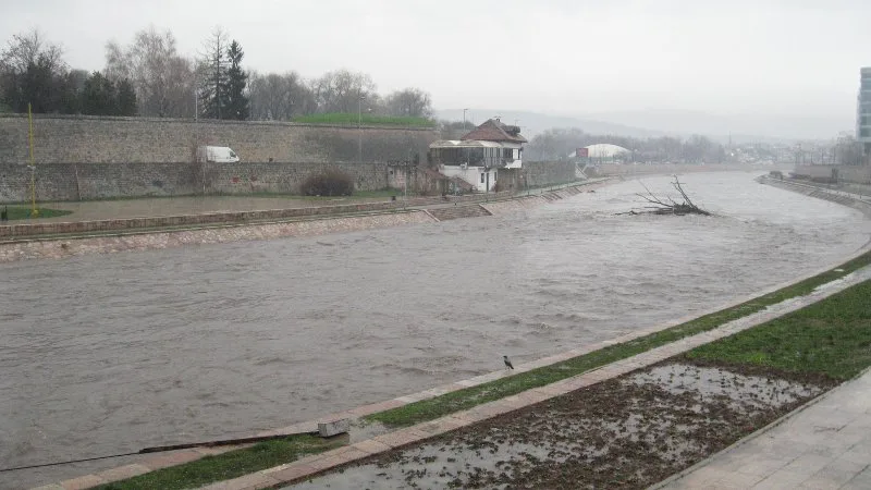 nisava siroka