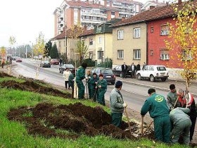 radnici gorice