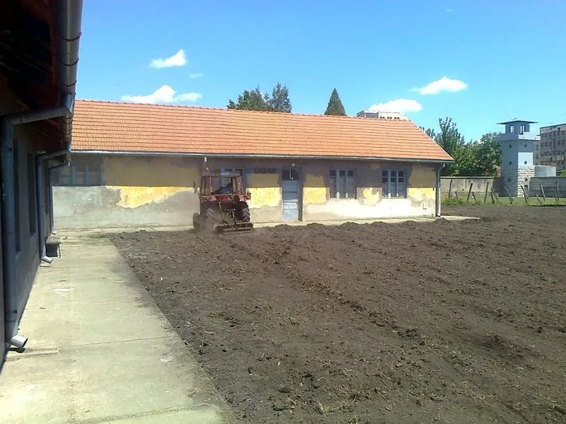 logor oranje