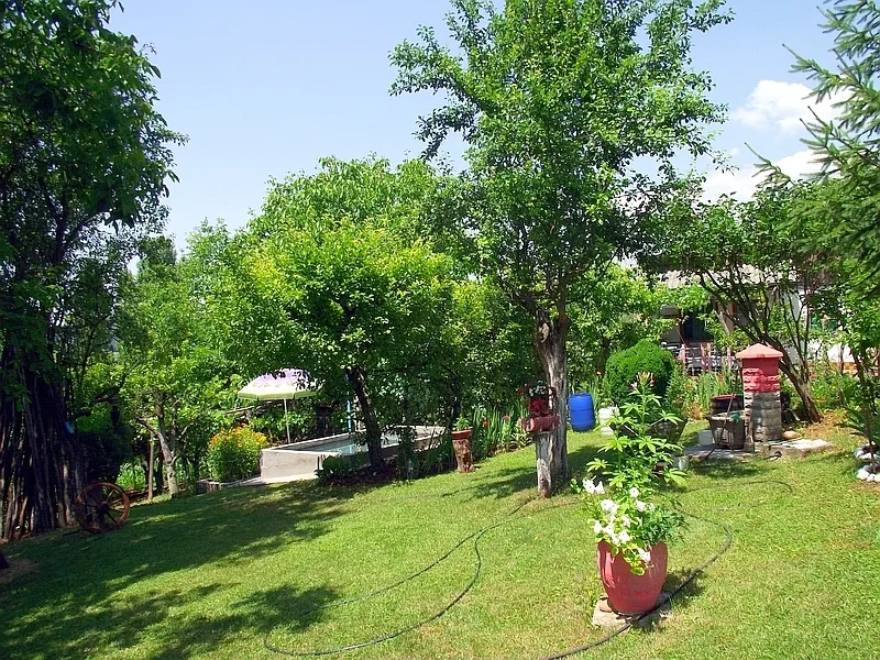 DSCF1645
