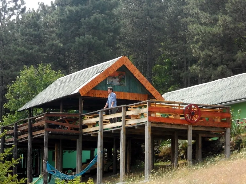 deo zelenog gaja