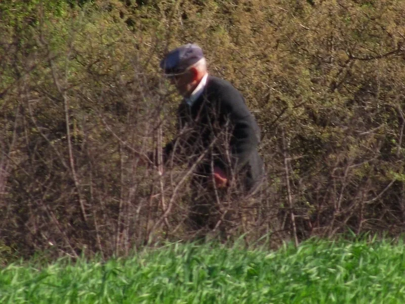 DSCF8150