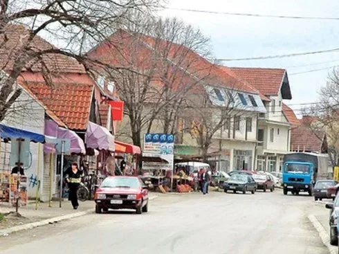 doljevac politika