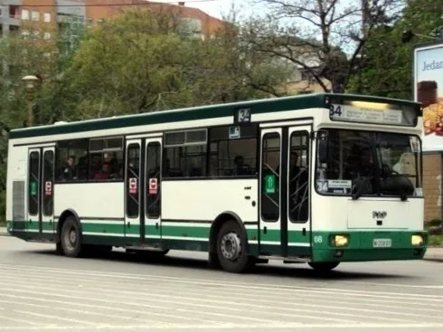 autonus kruzni