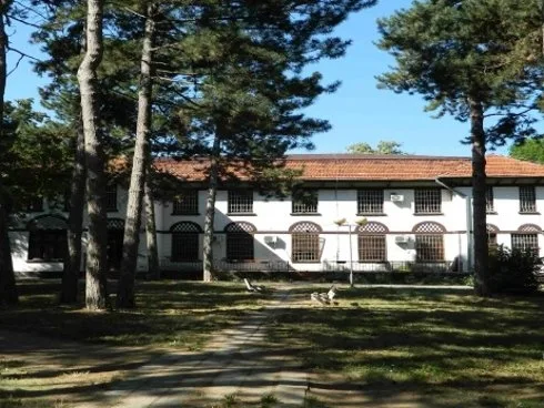 toponica