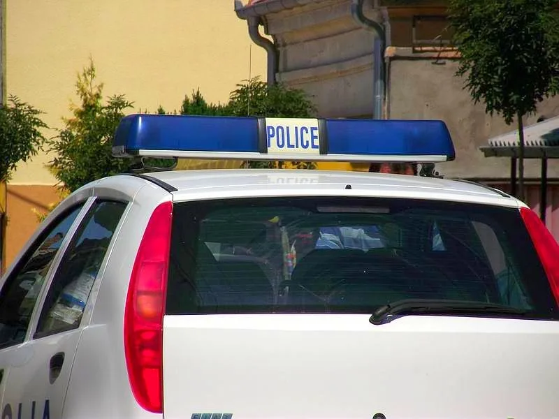 POLICIJA ilustracija KOSTA Juzne vesti