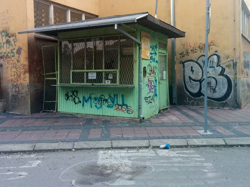 pretucen mladic1