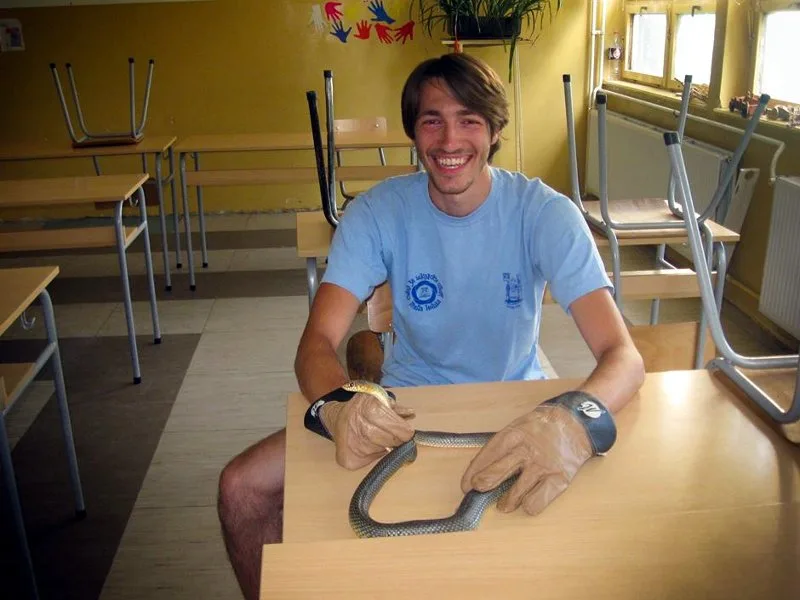 Petar zmija