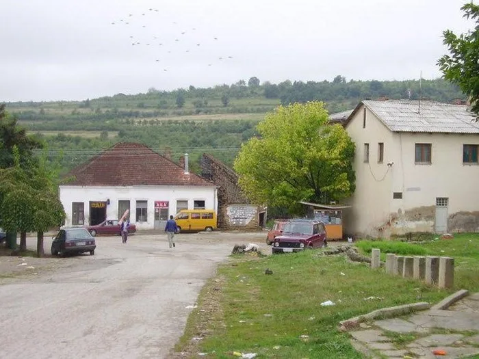 Zitni potok
