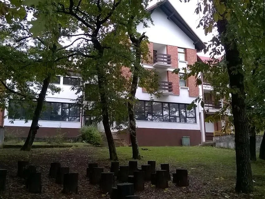 Divljana