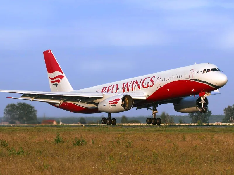 red wings