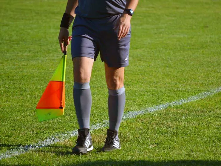 Sudija linijski
