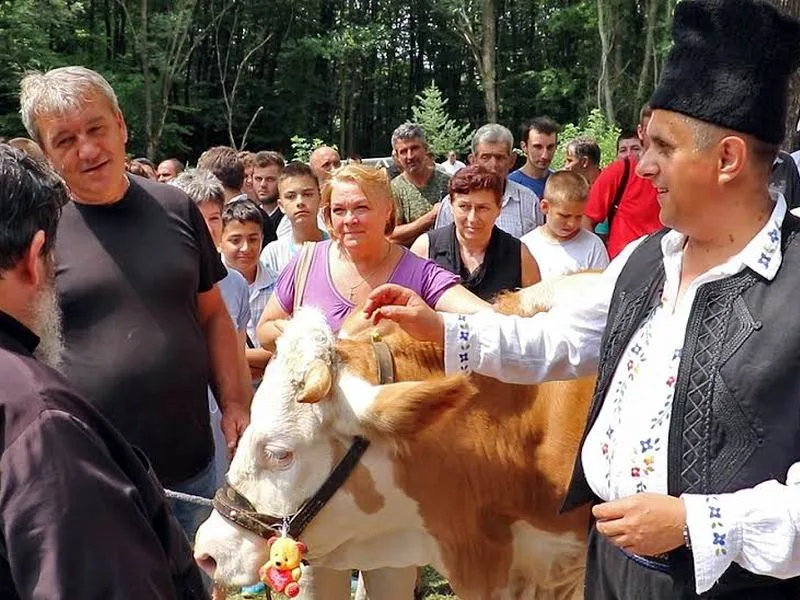 Milija predaje kravu igumanu