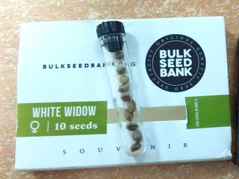 marihuana foto uprava carina