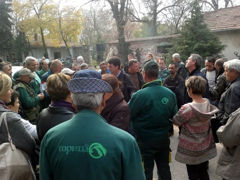 800x600 gorica