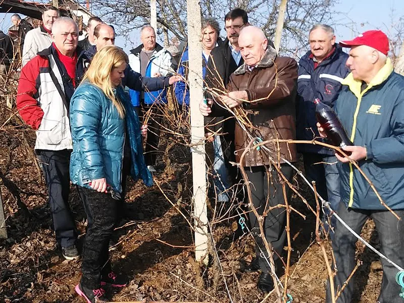 sveti trifun vinogradi prokuplje 1 foto lj m