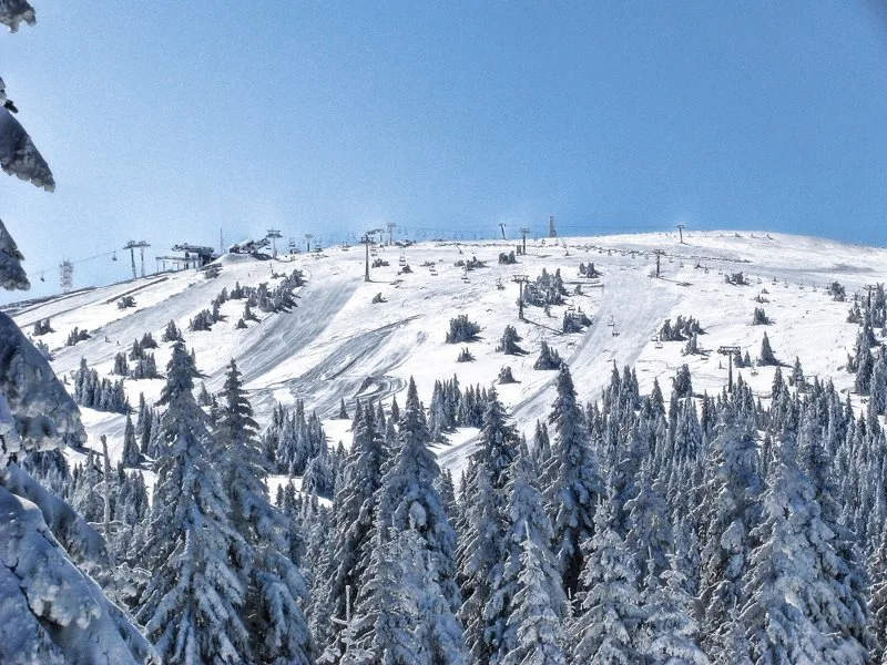800x600 Kopaonik Ratko Bozovic