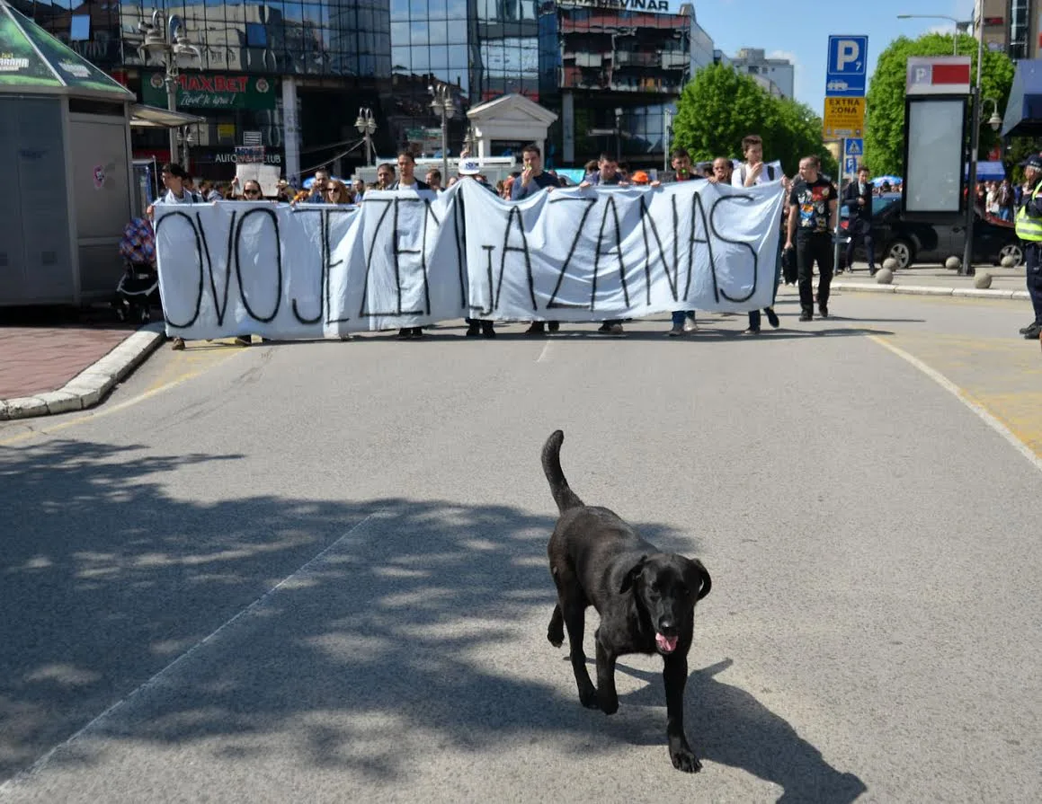 Protest Nikole Pasica VK