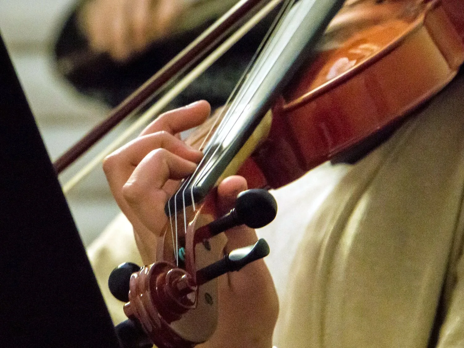 Violina flickr Shiva Shenoy