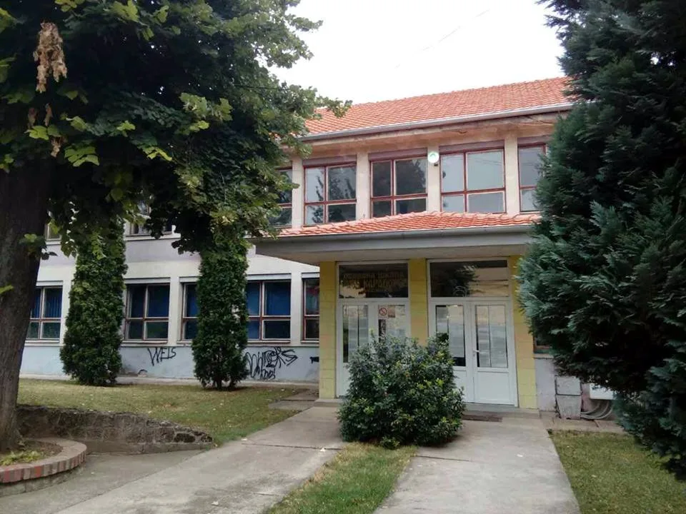 OS Vozd Karadjordje Aleksinac foto N S