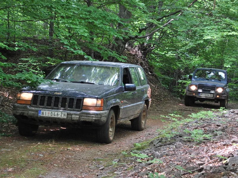 dzipovi safari klub
