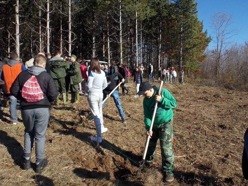 pusumljavanje
