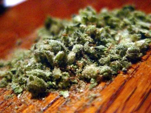 marihuana foto Flickr