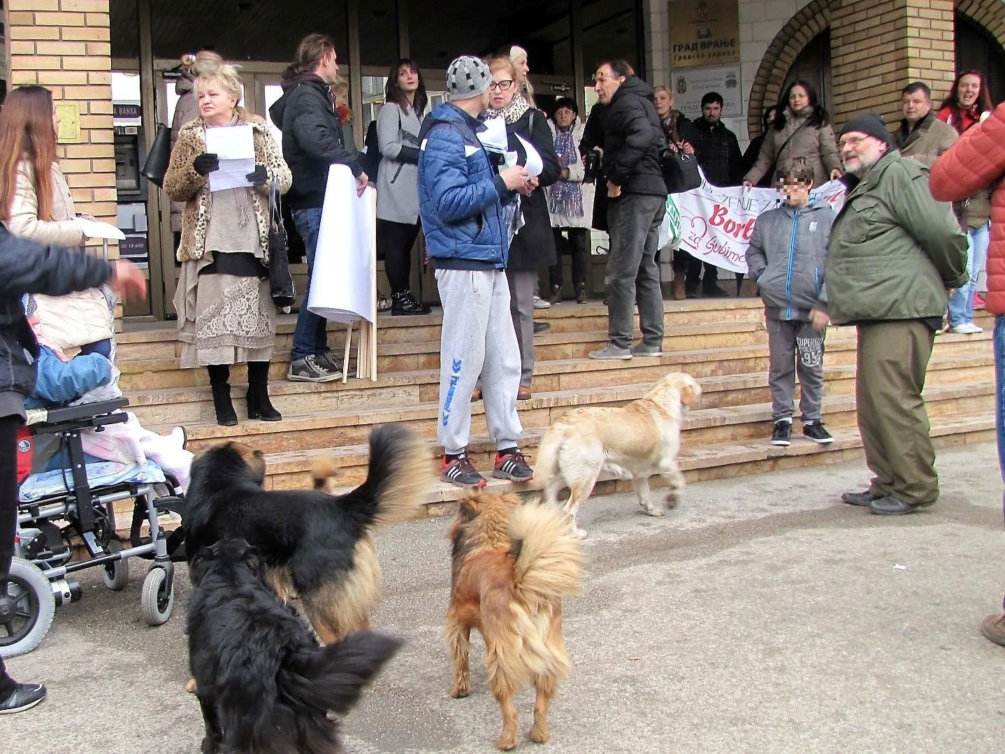 zastitari protest vranje foto i m