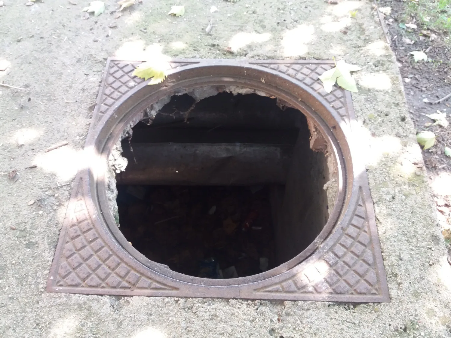 Sahte 3 park centar jul 2018 foto Bojana Antic