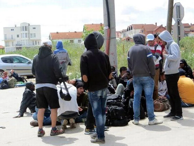 800x600 migranti foto s j jv