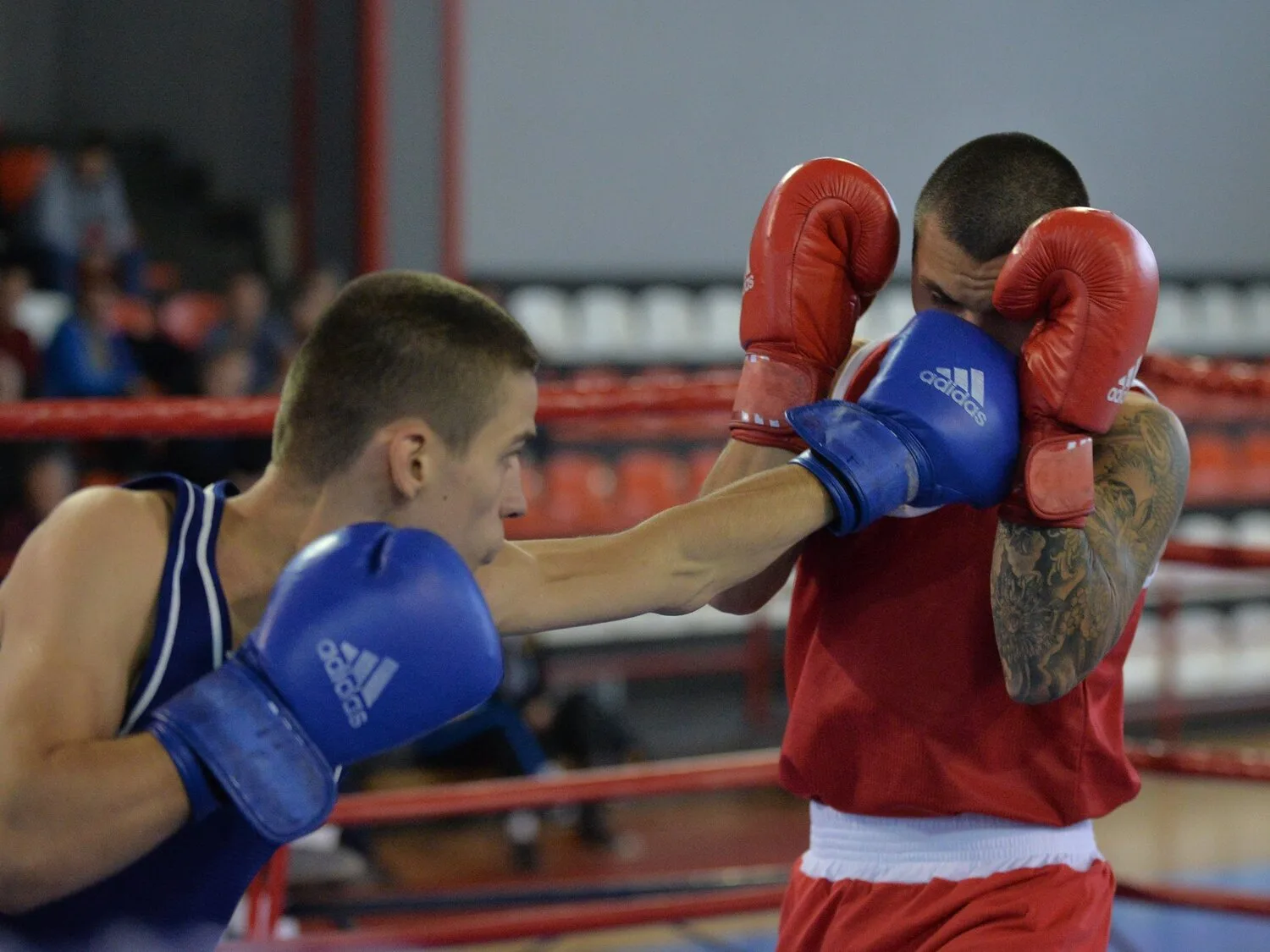 Naissus Radnicki Beograd boks foto Juzne vesti Vanja Keser